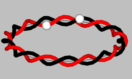 Pseudo-counter-coil with helices out of phase and  spheres travel  in opposite directions)
