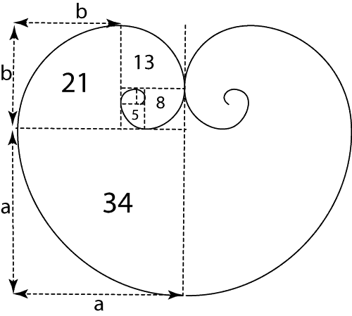 Proportions of the Fibonacci spiral with implications for the heart pattern