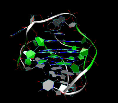 Animation of quadruple helix telomere structure 