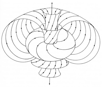 Illustration of toroidal dynamics: implications for engaging with the cognitive hole&