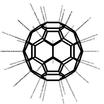 Mapping onto a truncated polyhedron (C60) of 60 disabling and enabling trends
