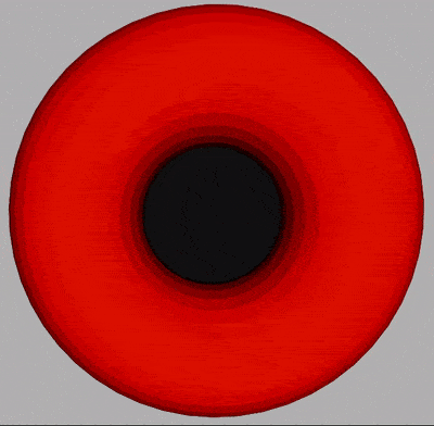 Toroidal animation of excretion/expiration