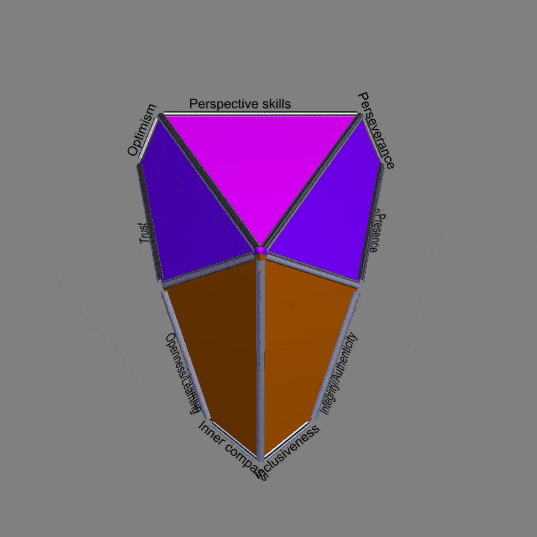 Association of 23 IDG skills with edges of Biaugmented pentagonal prism