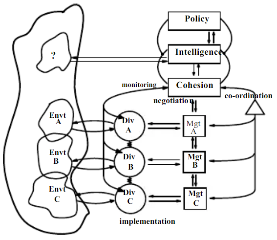 Schematic of Viable System Model (VSM)