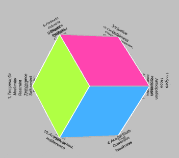 Animated mapping of 7 virtues and 7 vices onto opposing vertices of a rhombic dodecahedron