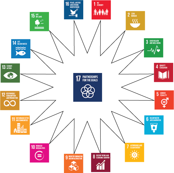 UN Sustainable Development  Goals