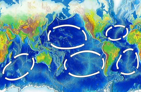 Ocean gyres suggestive of global patterns of outrage
